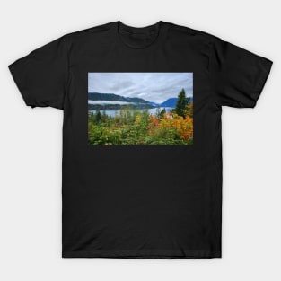 Lake Cushman Fall T-Shirt